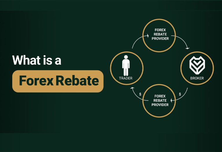ریبیت فارکس چیست؟