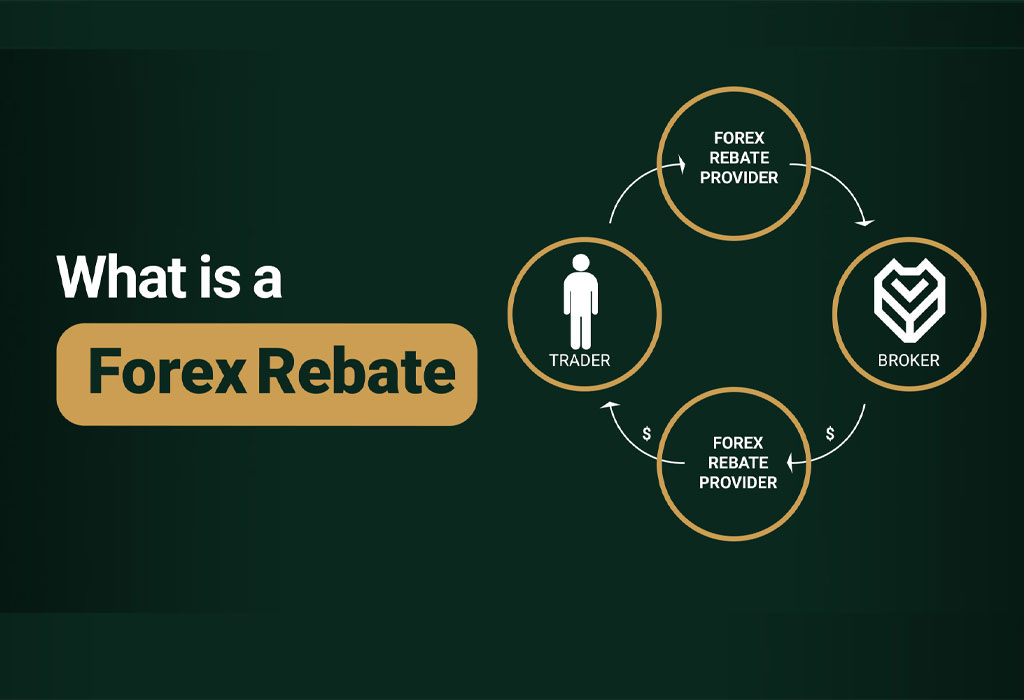 ریبیت فارکس چیست؟